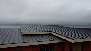 Best Emergency Roof Repair  in Squaw Valley, CA